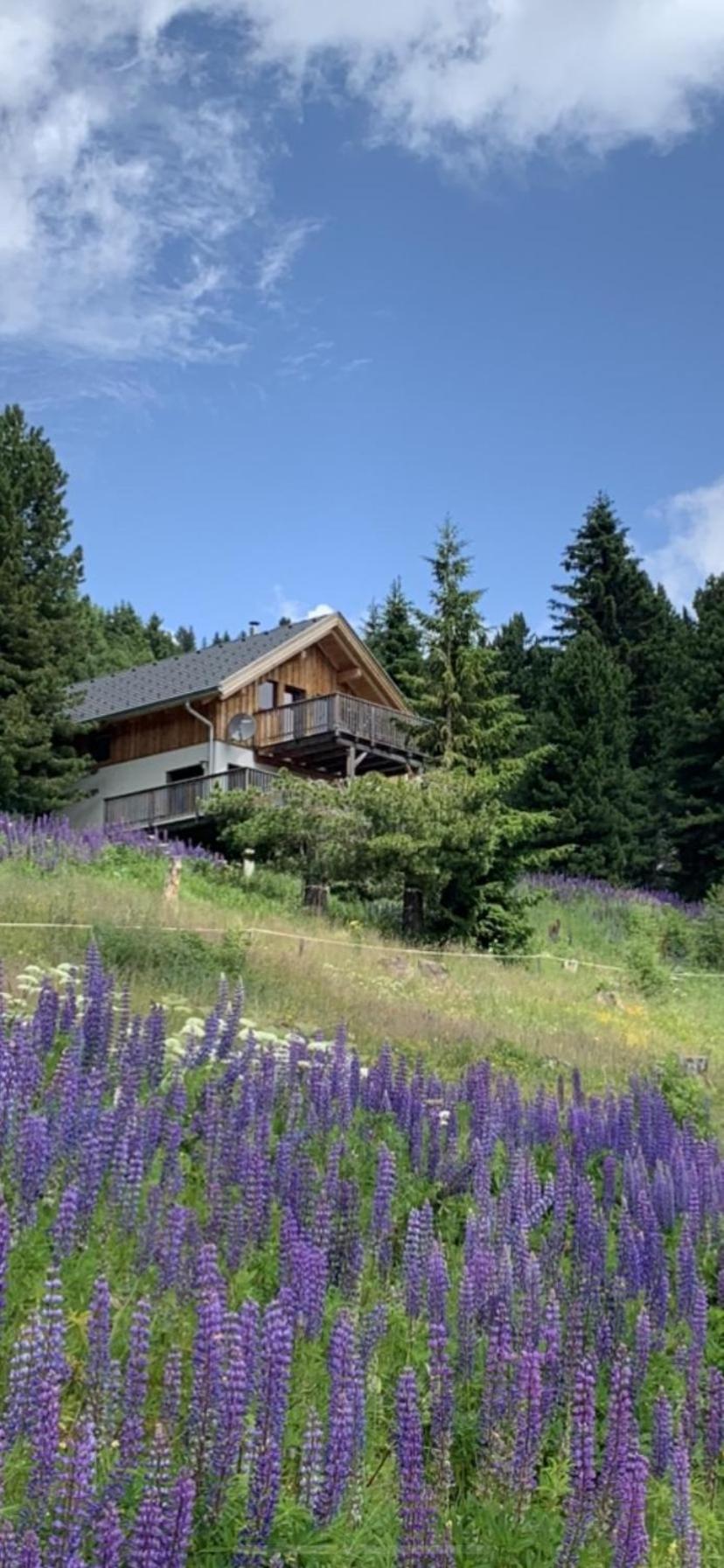 Chalet Claassen Turracher Hohe 외부 사진